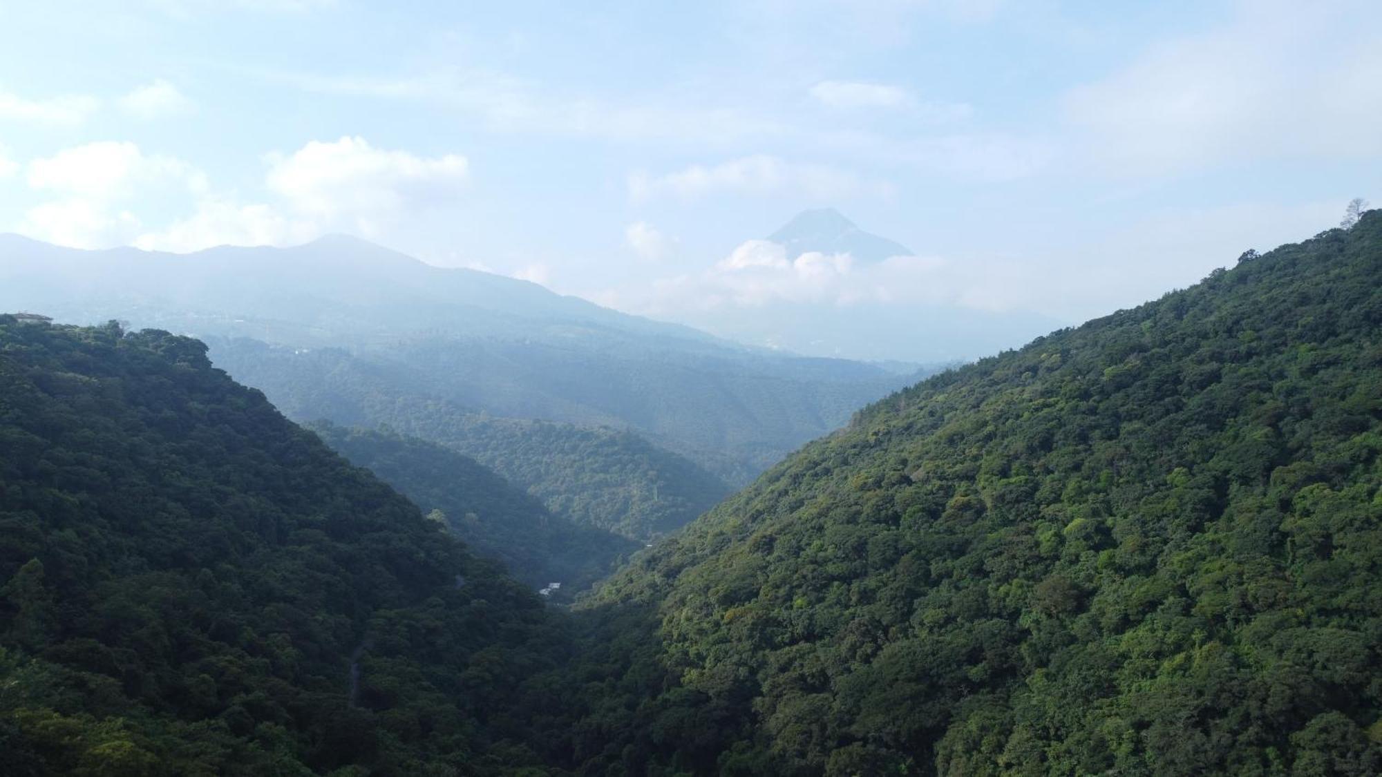 Finca San Mateo - Private Luxury Coffee Estate In Antigua Guatemala Екстериор снимка